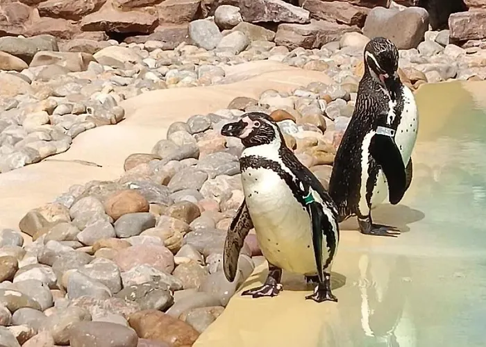 빌라 Casa Jaime 푸에르토 델 카르멘