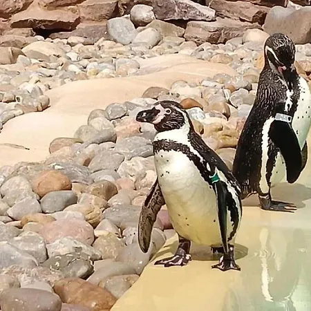 Villa Casa Jaime Puerto del Carmen (Lanzarote)