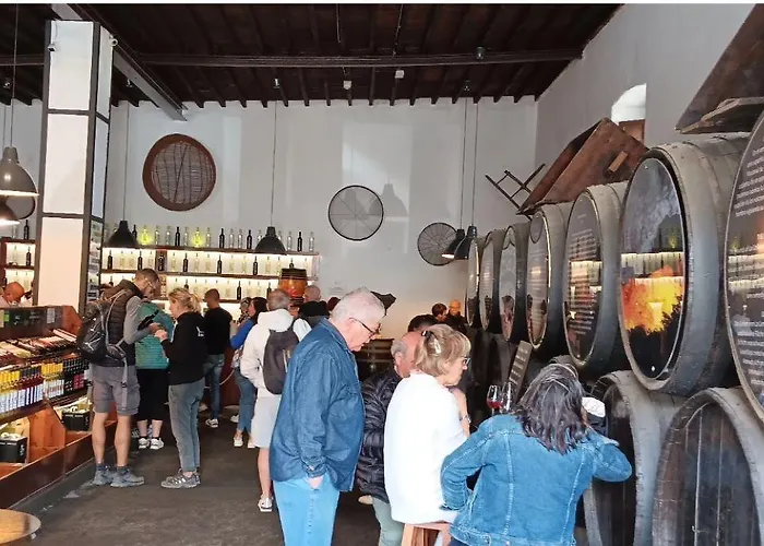 Vila Casa Jaime Puerto del Carmen (Lanzarote)